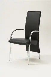 C022 Leather Dining Chair