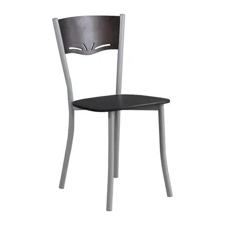 C309 Plastic Dining Chair