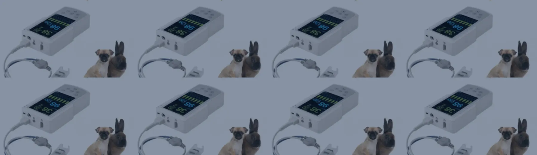 Veterinary ETCO2 monitors manufactured by Ronseda
