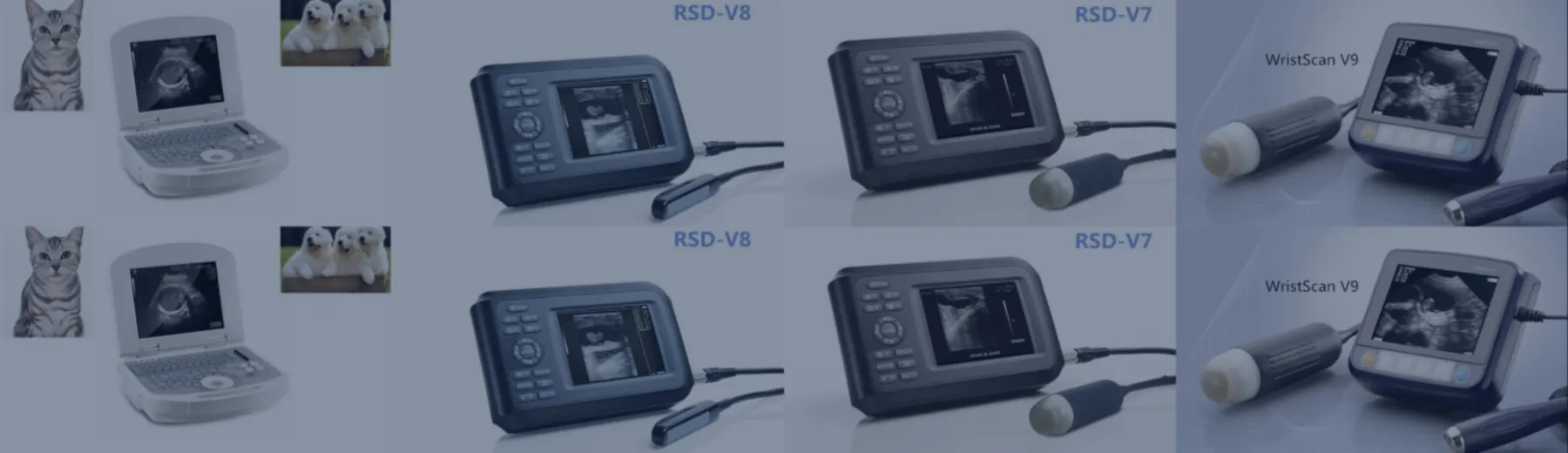 Veterinary Ultrasound Scanners manufactured by Ronseda