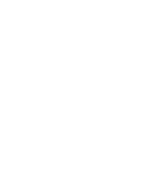 CHAOSHUN logo