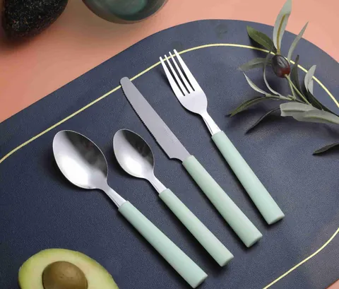 CS132 Stainless Steel Tableware with Plastic Handle