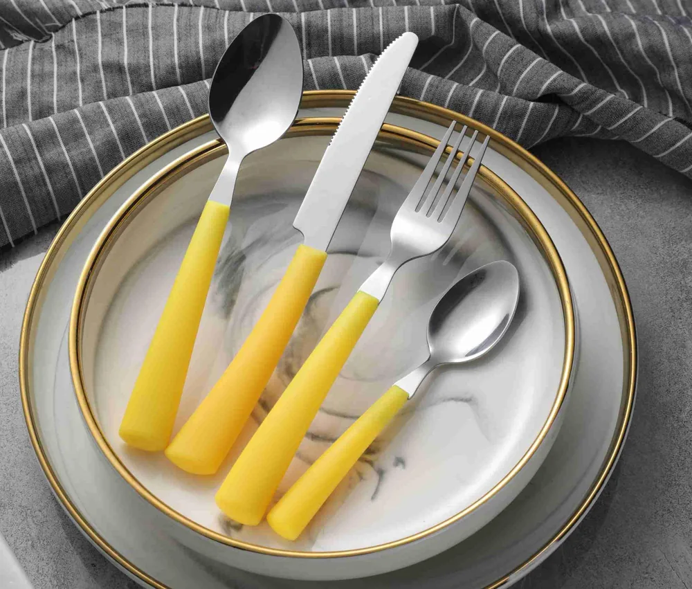CS101 Stainless Steel Tableware with Plastic Handle
