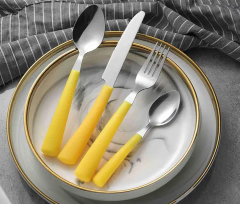 CS101 Stainless Steel Tableware with Plastic Handle