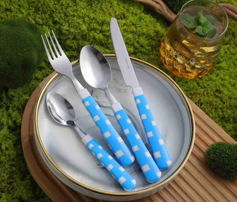 CS364 Stainless Steel Tableware with Plastic Handle