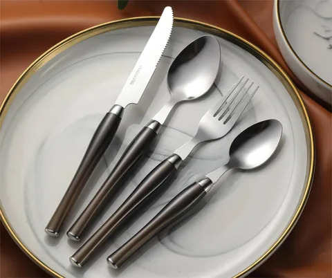 CS640 Stainless Steel Tableware with Plastic Handle