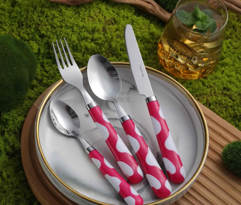 CS685 Stainless Steel Tableware with Plastic Handle