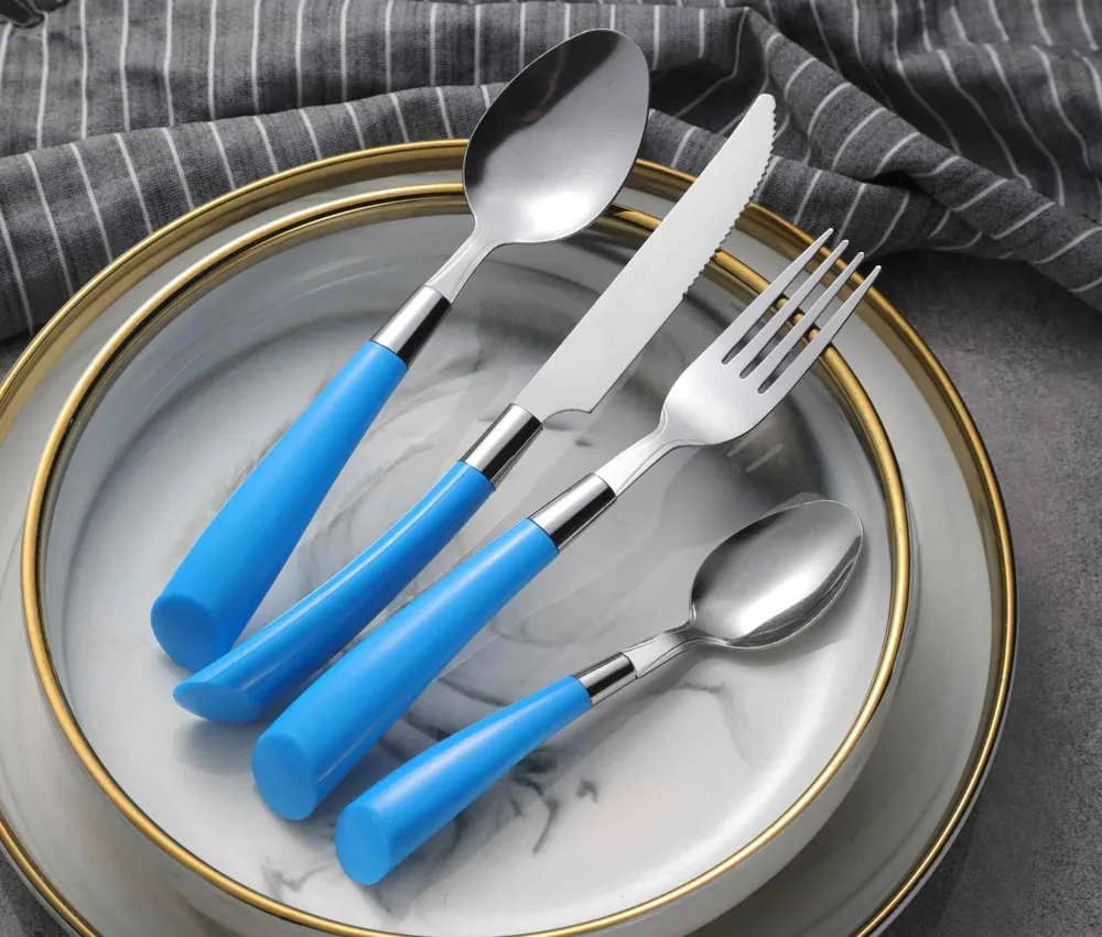 CS689 Stainless Steel Tableware with Plastic Handle