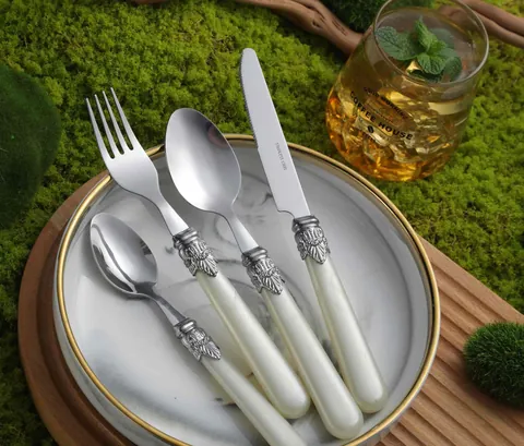 CS730 Stainless Steel Tableware with Plastic Handle