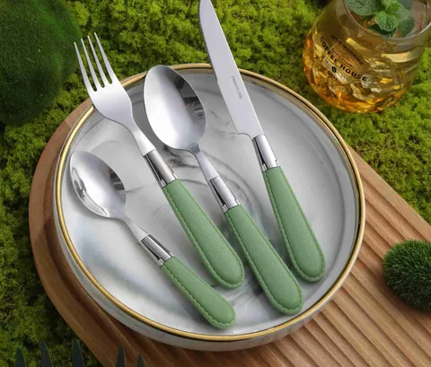 CS786 Stainless Steel Tableware with Plastic Handle