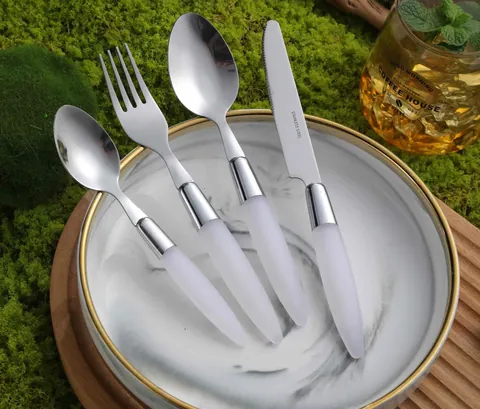 CS788 Stainless Steel Tableware with Plastic Handle