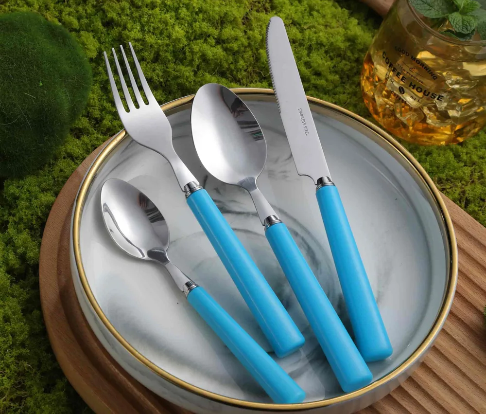 CS789 Stainless Steel Tableware with Plastic Handle