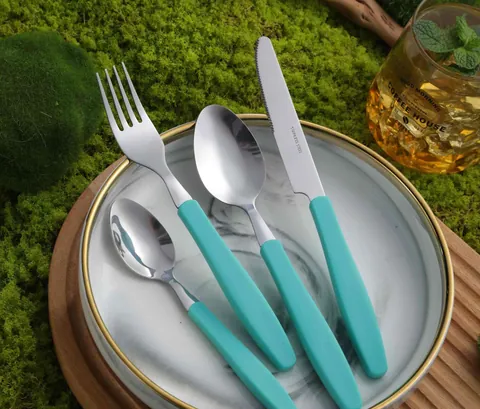 CS791 Stainless Steel Tableware with Plastic Handle