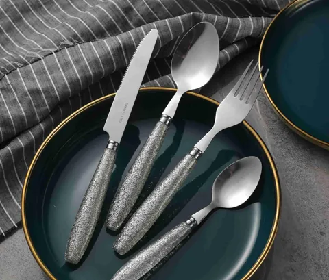 CS725 Stainless Steel Tableware with Plastic Handle