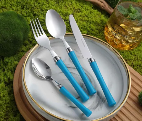 CS727 Stainless Steel Tableware with Plastic Handle