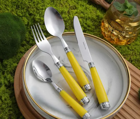 CS728 Stainless Steel Tableware with Plastic Handle