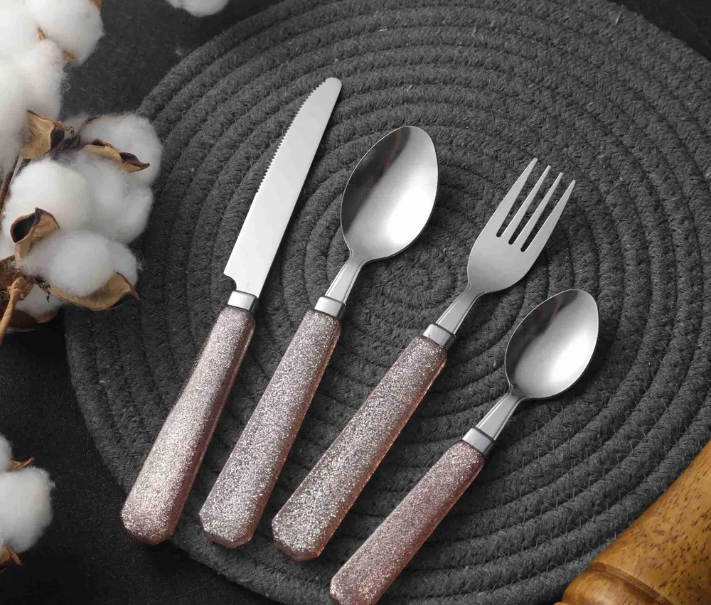 CS797 Stainless Steel Tableware with Plastic Handle
