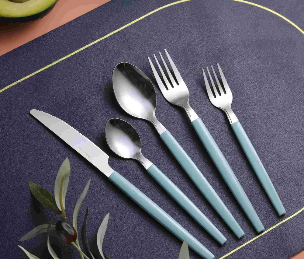 CS798 Stainless Steel Tableware with Plastic Handle