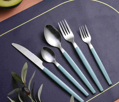 CS798 Stainless Steel Tableware with Plastic Handle