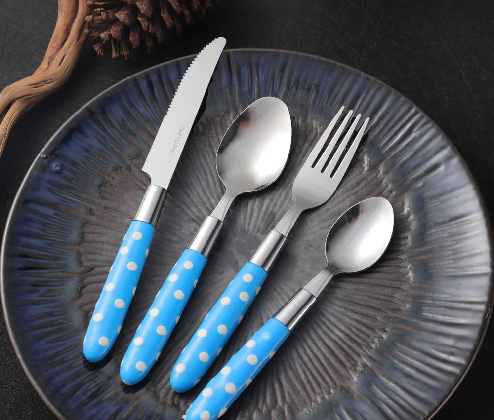 CS799 Stainless Steel Tableware with Plastic Handle
