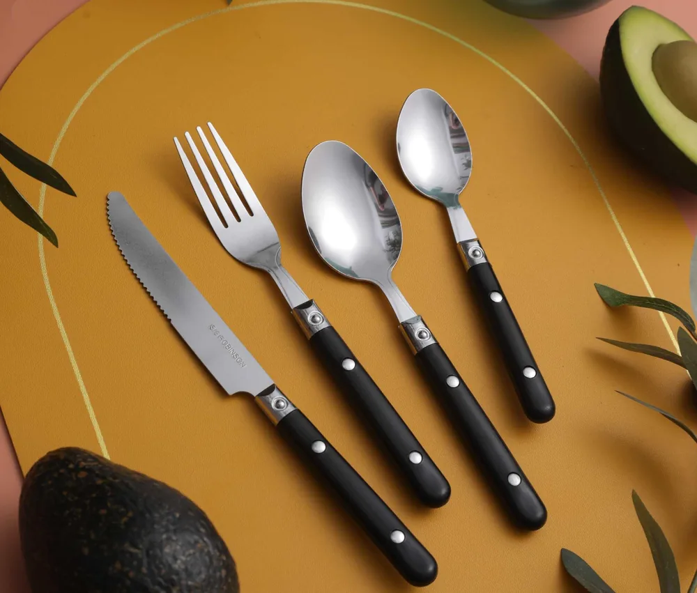CS802 (2) Stainless Steel Tableware with Plastic Handle