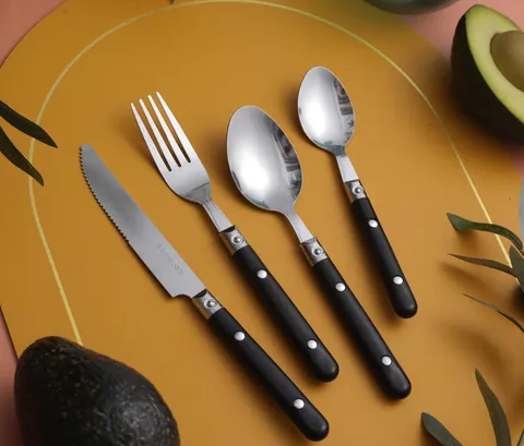 CS802 (2) Stainless Steel Tableware with Plastic Handle