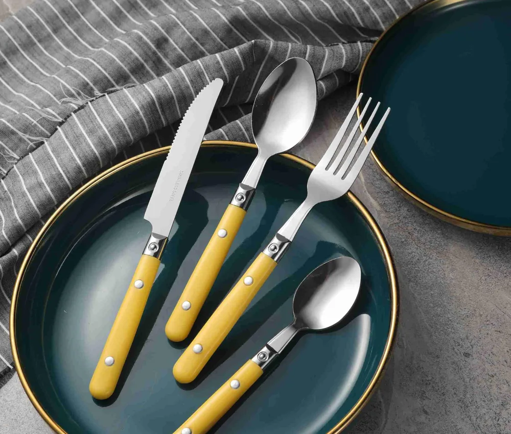 CS802 Stainless Steel Tableware with Plastic Handle