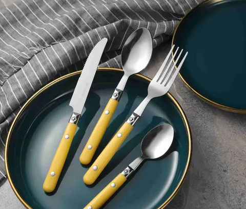 CS802 Stainless Steel Tableware with Plastic Handle