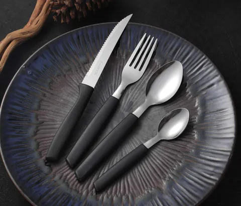 CS803 Stainless Steel Tableware with Plastic Handle