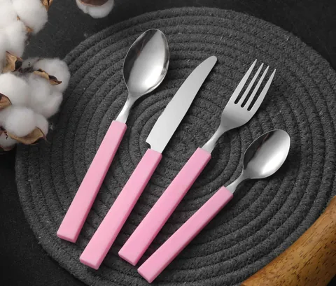 CS805 Stainless Steel Tableware with Plastic Handle