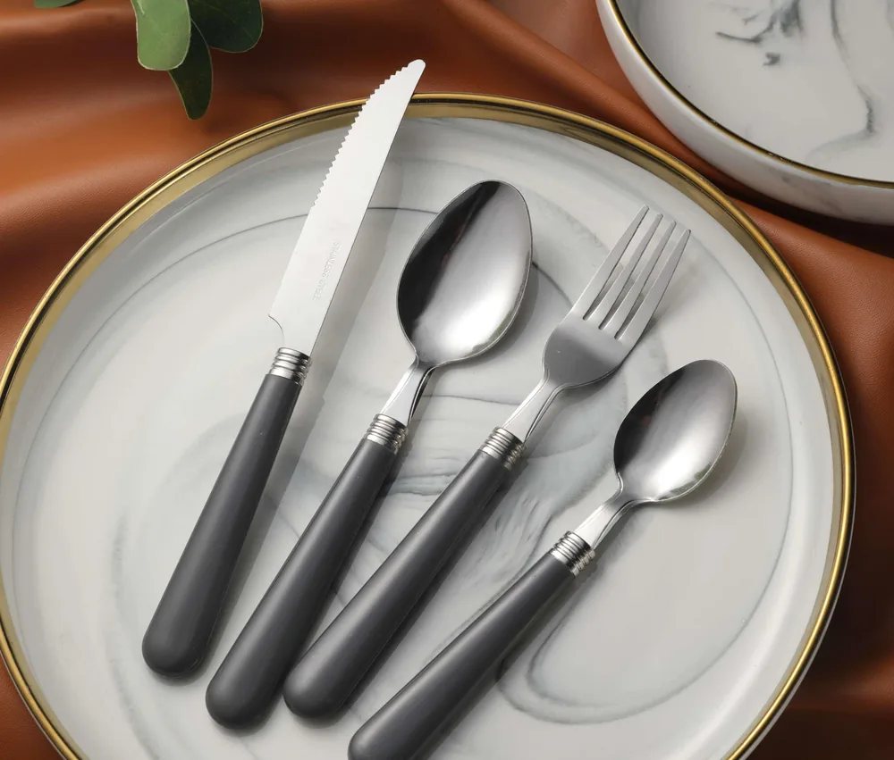 CS902 Stainless Steel Tableware with Plastic Handle