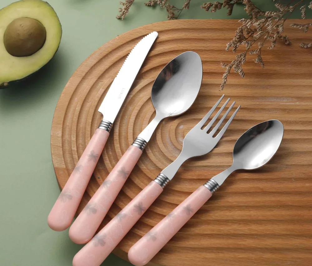CS808 Stainless Steel Tableware with Plastic Handle