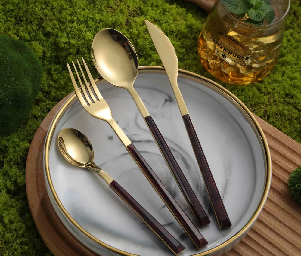 CS795 Stainless Steel Tableware with Plastic Handle