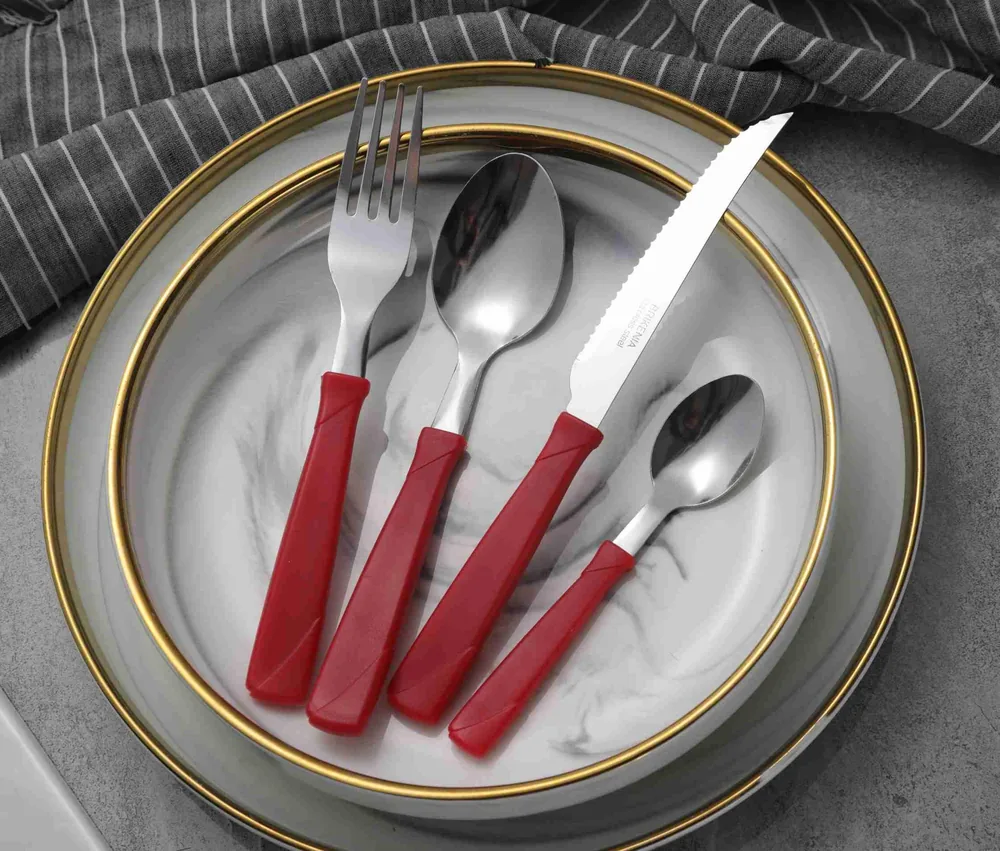 CS813 Stainless Steel Tableware with Plastic Handle