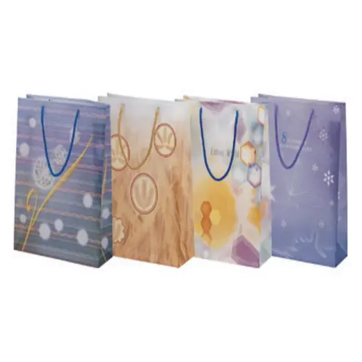 Shopping Bag — File Bag manufactured by Sanhua Stationery