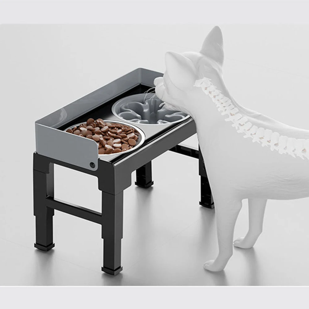 3D render of a raised dog bowl stand featuring kibble and a slow feeder bowl.