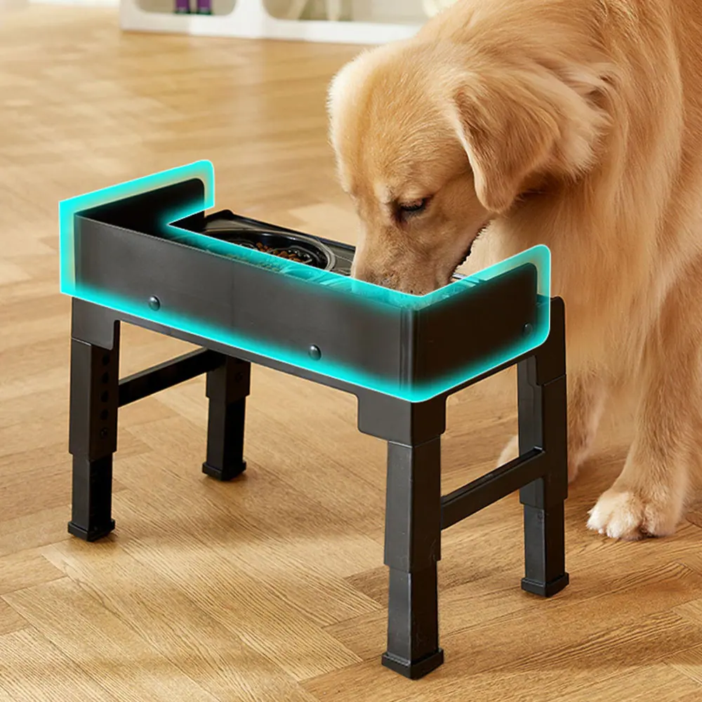 Golden retriever eating from an elevated black plastic dog bowl stand with teal outlines