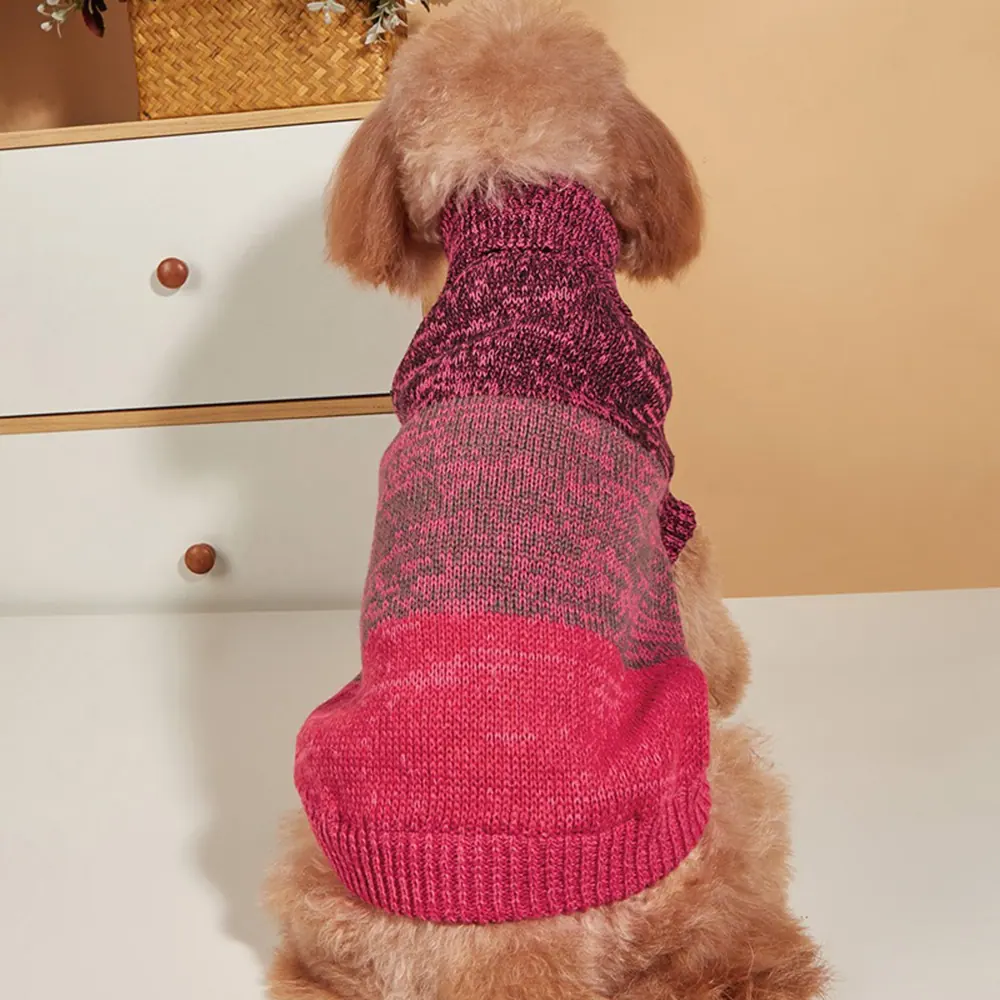 Back view of a brown poodle wearing a pink and grey knitted sweater sitting on a white surface.