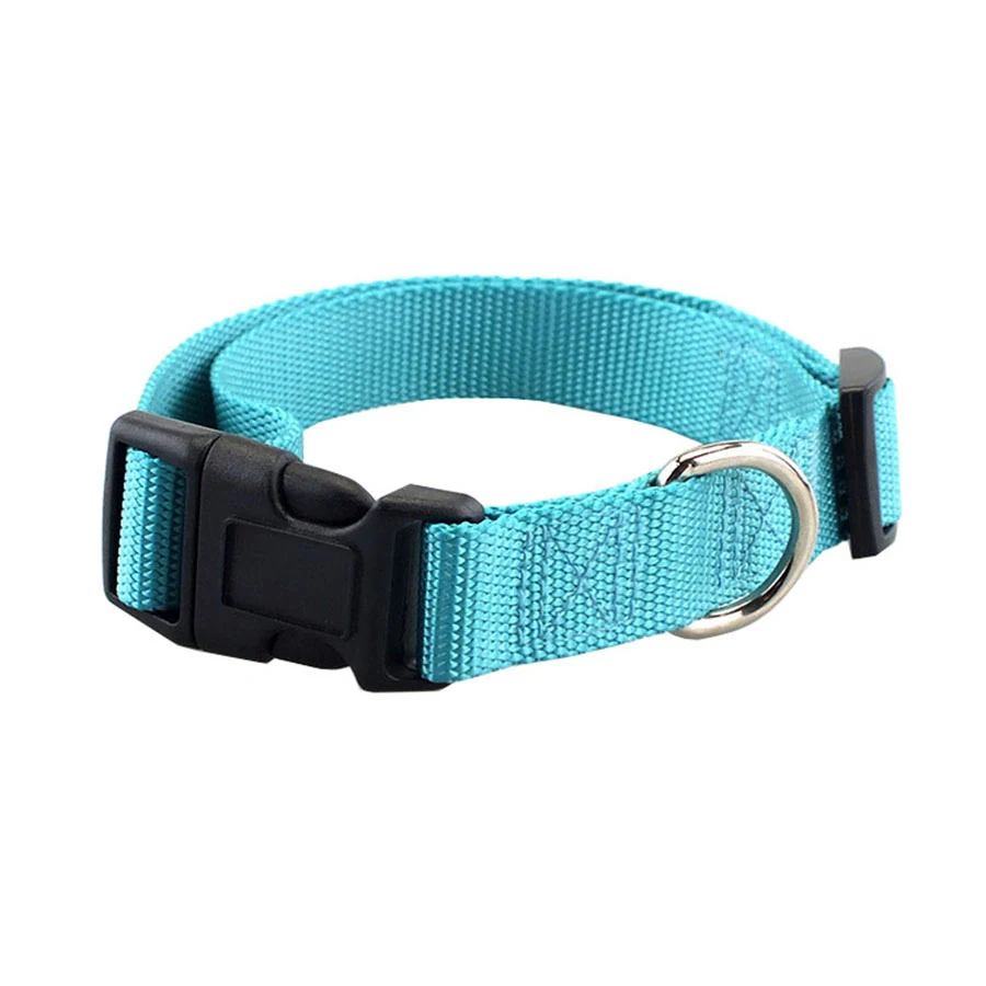 Turquoise woven nylon dog collar with black plastic buckle and metal D-ring on a white background