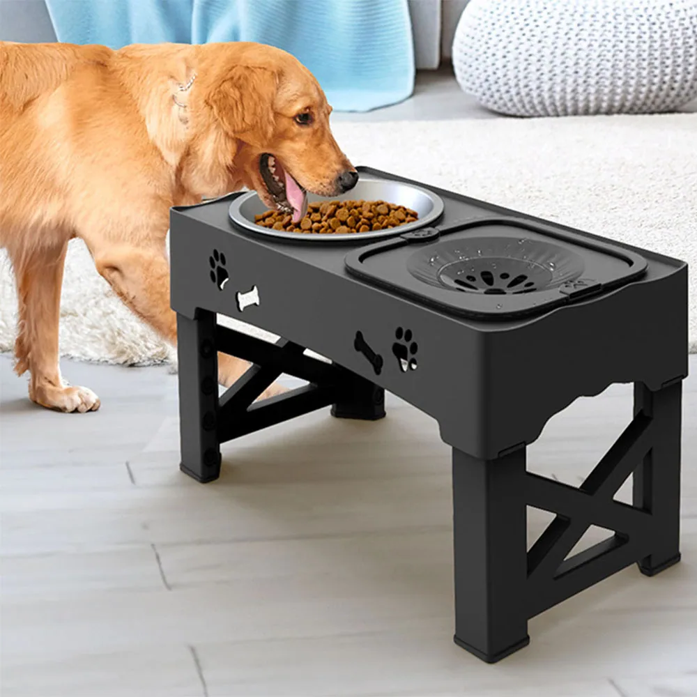 A golden retriever eating kibble from a stainless steel bowl set into a black elevated plastic stand.