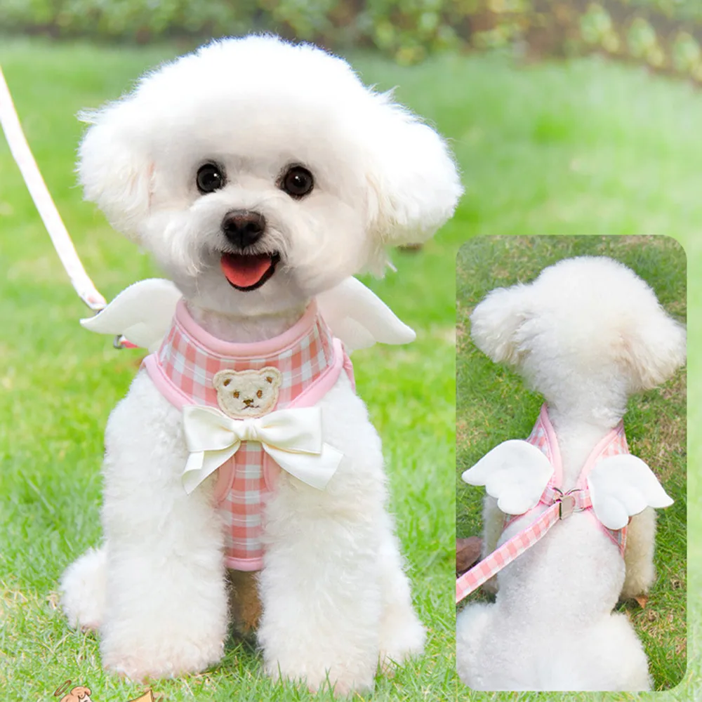 A white poodle wearing a pink plaid harness with angel wings and a bow tie.