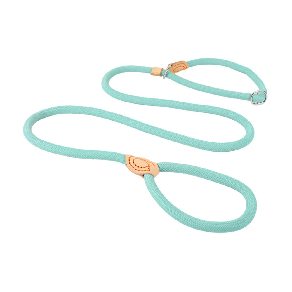 Teal rope dog leash with tan leather accents and silver metal clasp on white background
