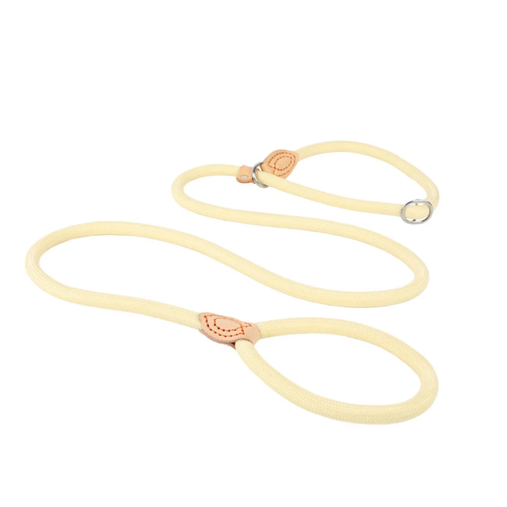 A cream-colored rope dog leash with tan leather accents and a metal clasp on a white background.