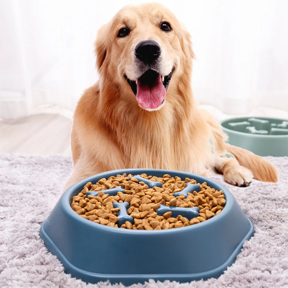 Golden Retriever sitting behind a blue slow-feeder dog bowl filled with kibble on a gray rug.