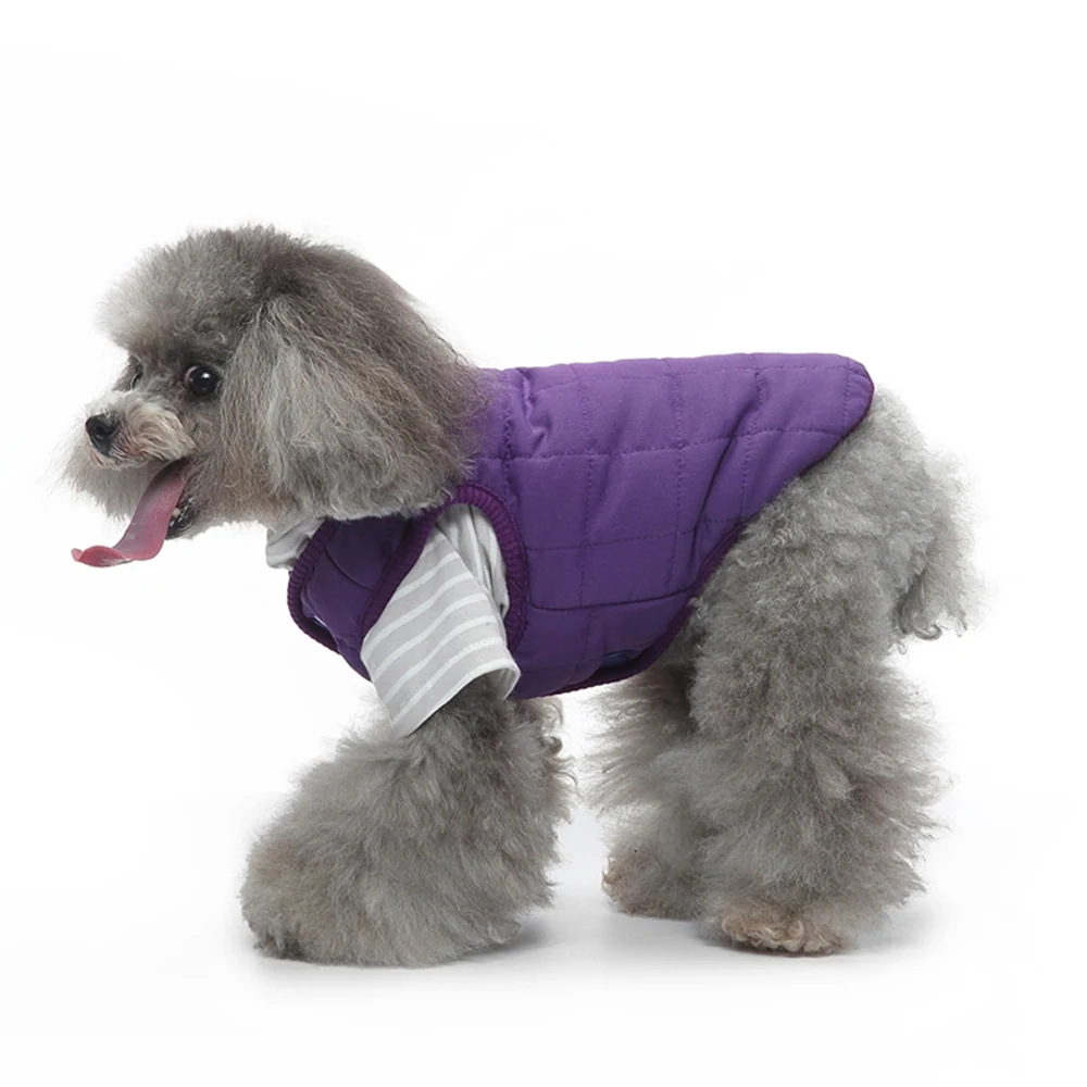 A gray poodle standing in profile wearing a purple quilted vest and a white striped shirt.