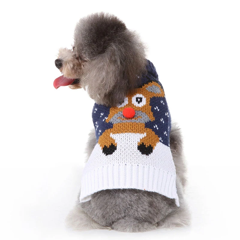 Grey poodle wearing a knitted reindeer sweater on a white background