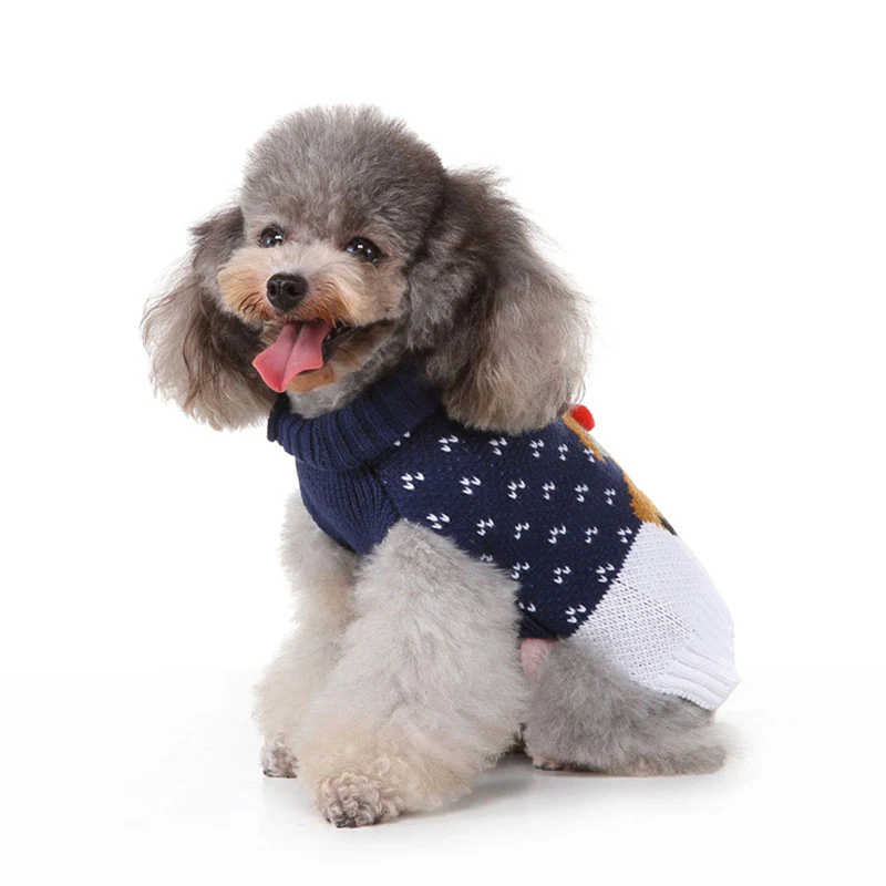 A gray poodle sitting and wearing a blue knitted sweater with a pattern.