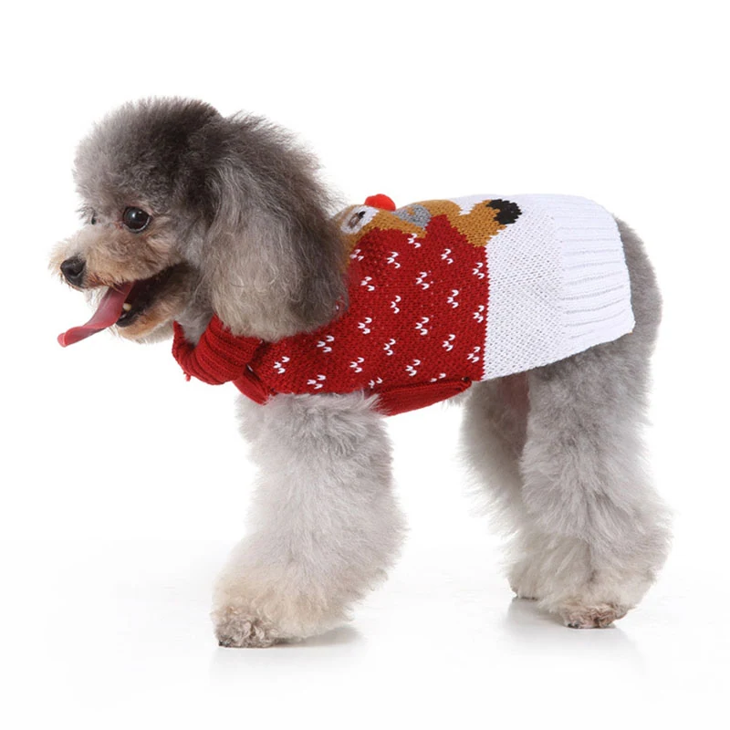 A gray poodle standing in profile wearing a red and white knitted sweater with a design.