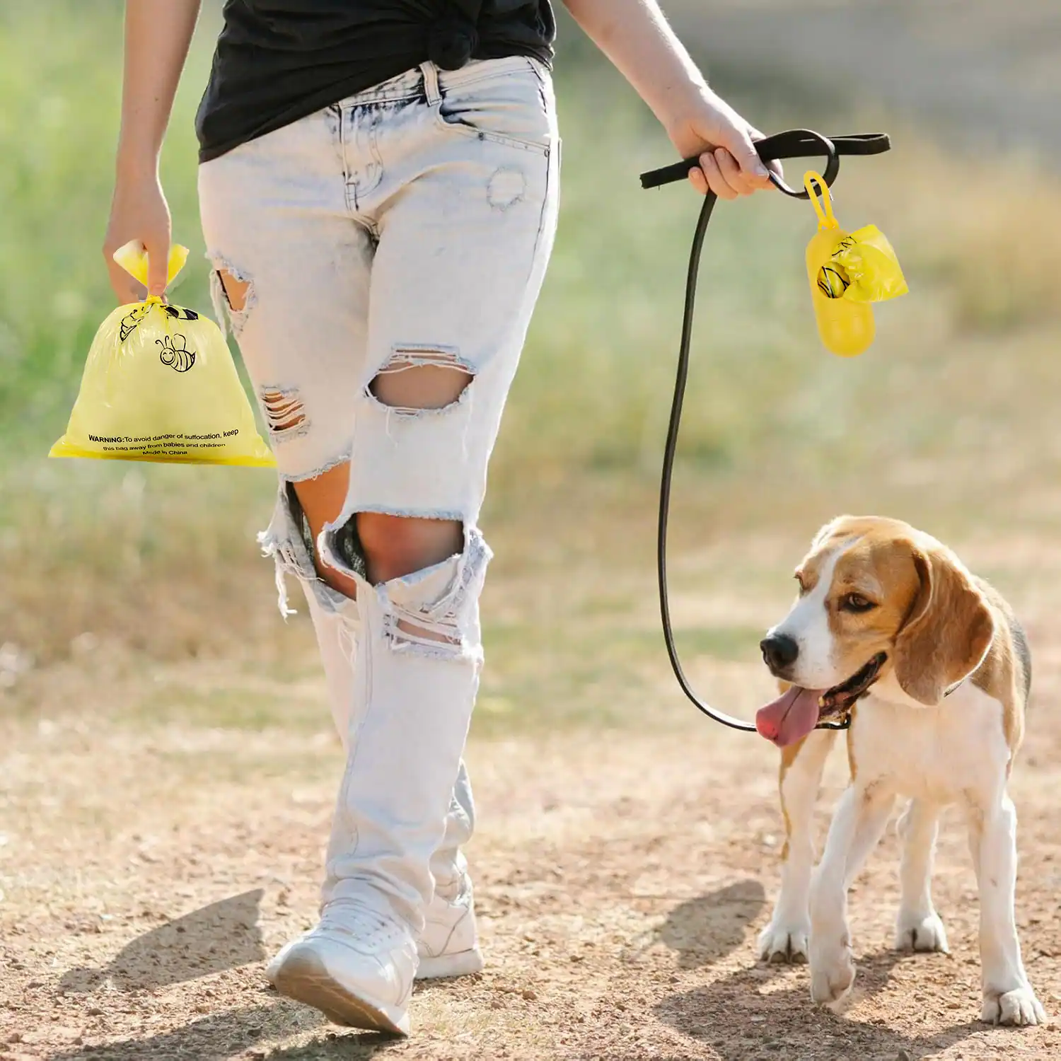 Person walking a beagle while holding a leash and yellow pet waste bags