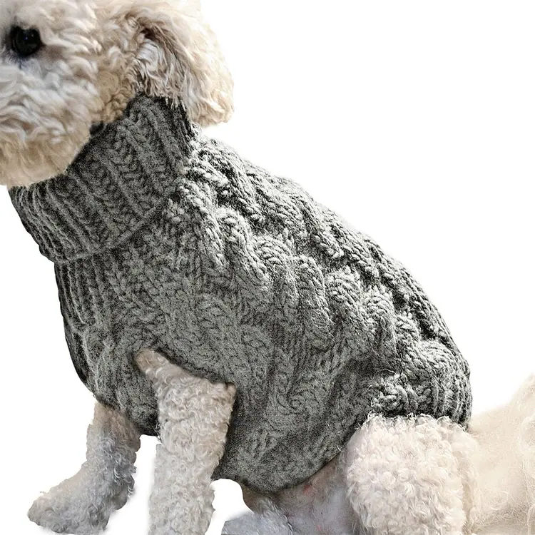 A white dog wearing a gray cable-knit sweater.